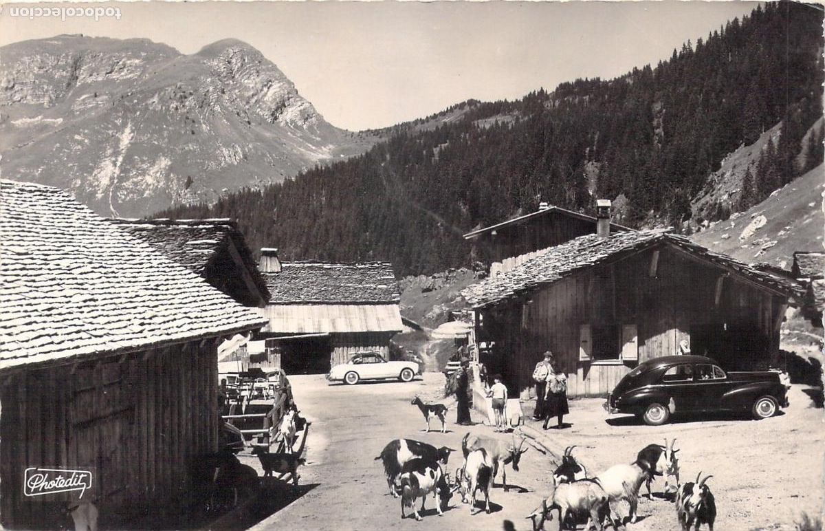 Postkarten: Postal de los Alpes franceses: Pueblo de Les Lyndarets con cabras