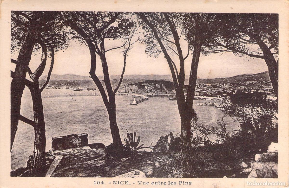 Postais: Postal de Niza vista del puerto entre los pinos