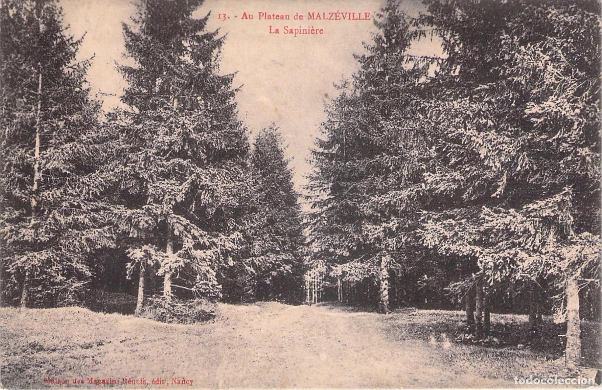Postales: Postal de La Sapiniere, Malzeville, Francia
