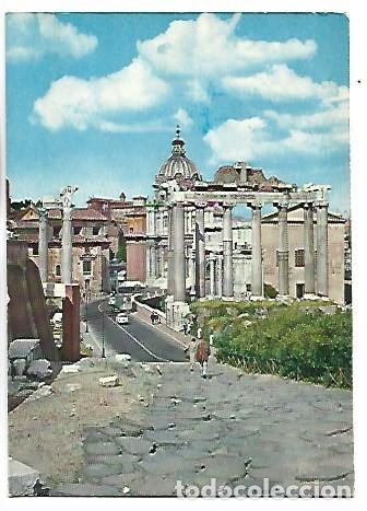 Postais: FORO ROMANO - THE ROMAN FORUM.- ROMA / ITALIA