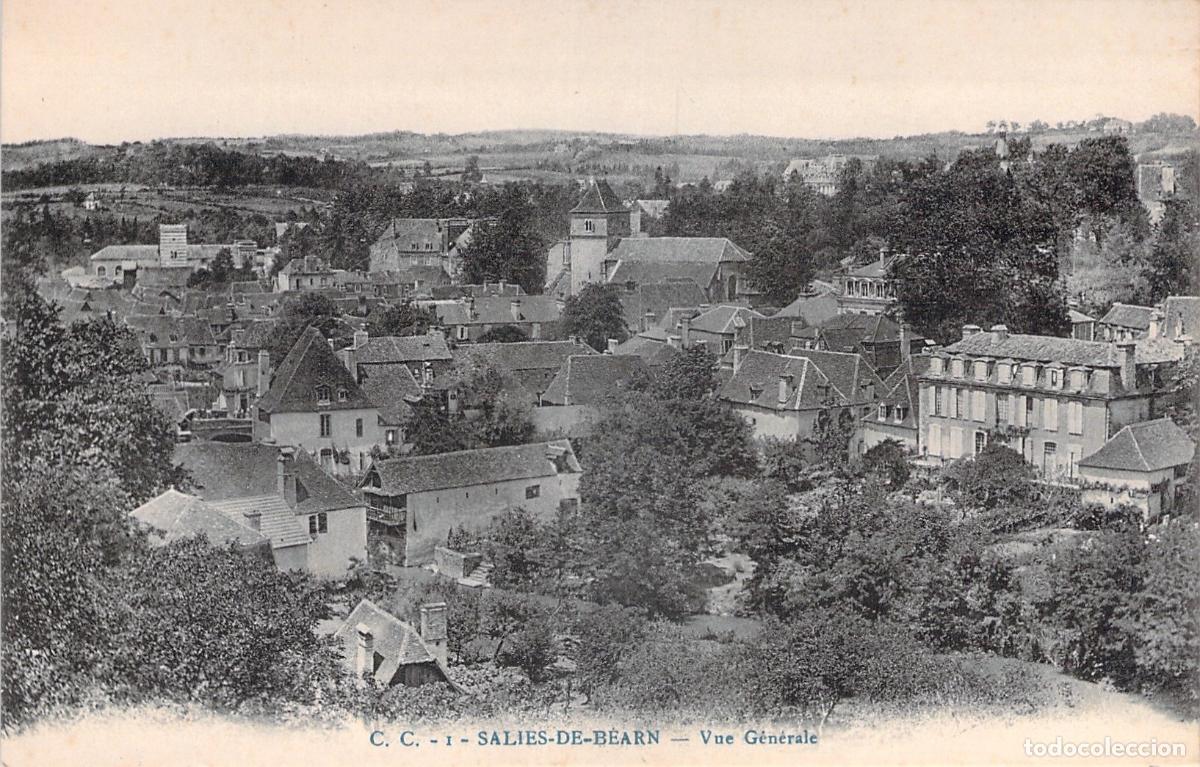 Cartoline: Postal de Salies-de-Bearn, vista general del pueblo en Francia