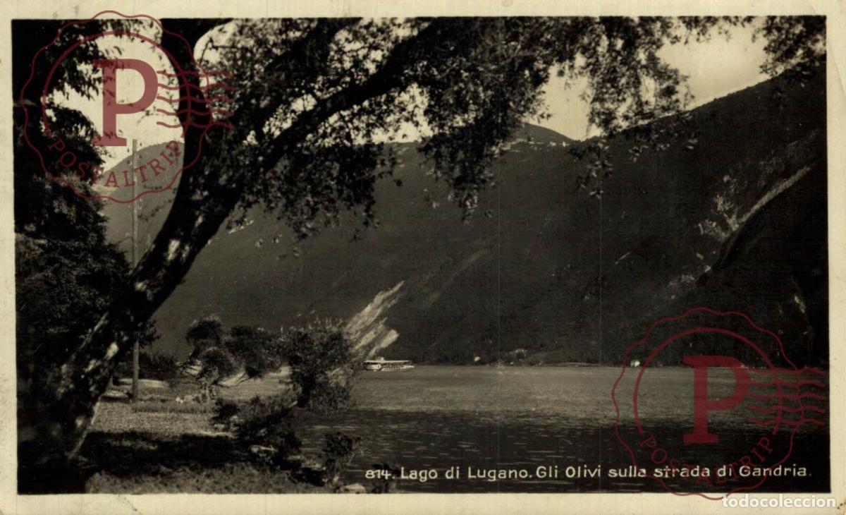 Postkarten: LUGANO. Lago Di Lugano, Gli Olivi sulla strada di Gandria. TESINO. SUIZA. SWISS. SWITZERLAND.