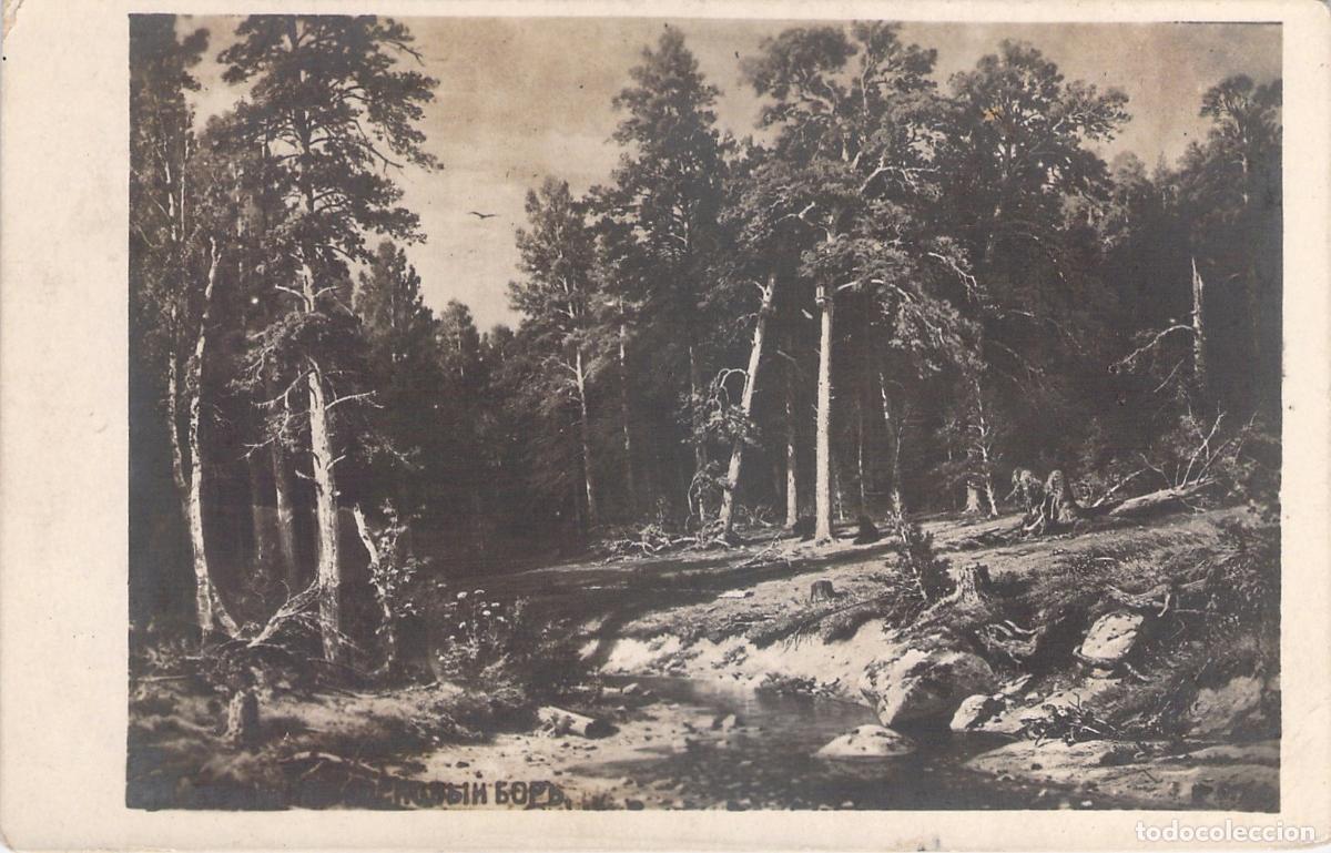 Postales: Postal de Paisaje Bosque de Shishkin Rusia