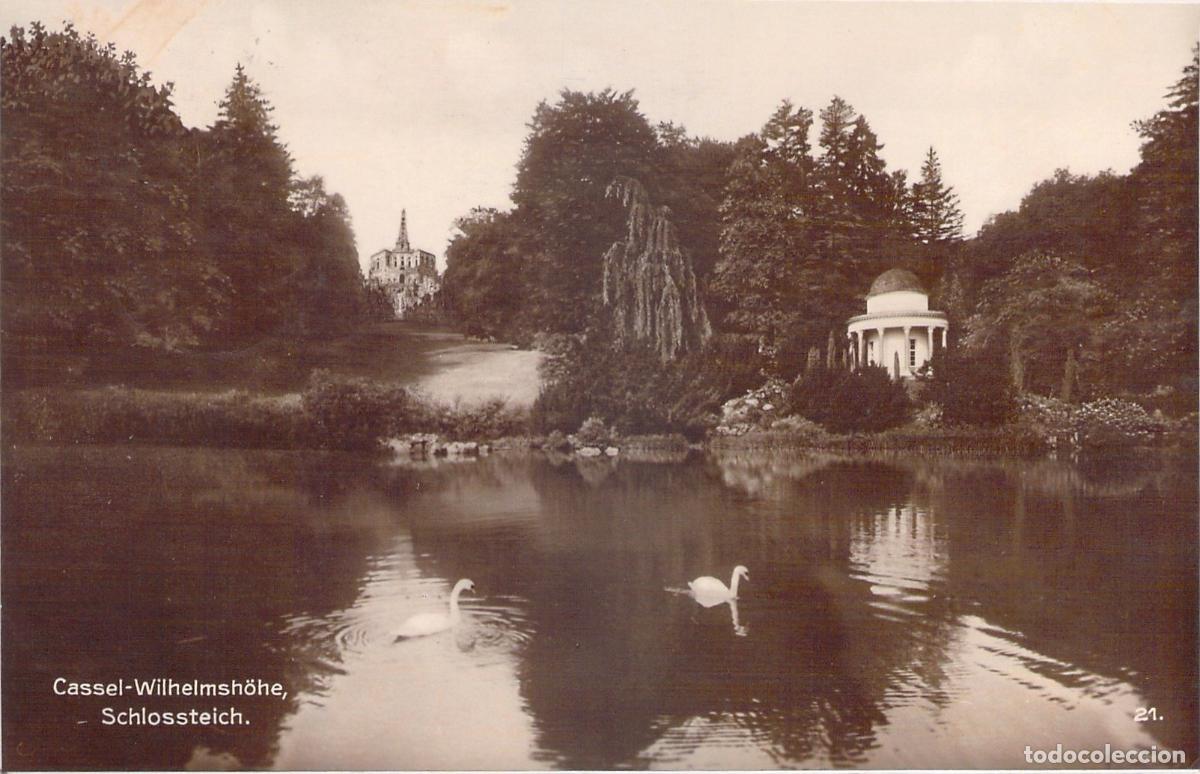 Cartes Postales: Postal de Kassel Wilhelmsh&ouml;he Alemania con cisnes y estanque