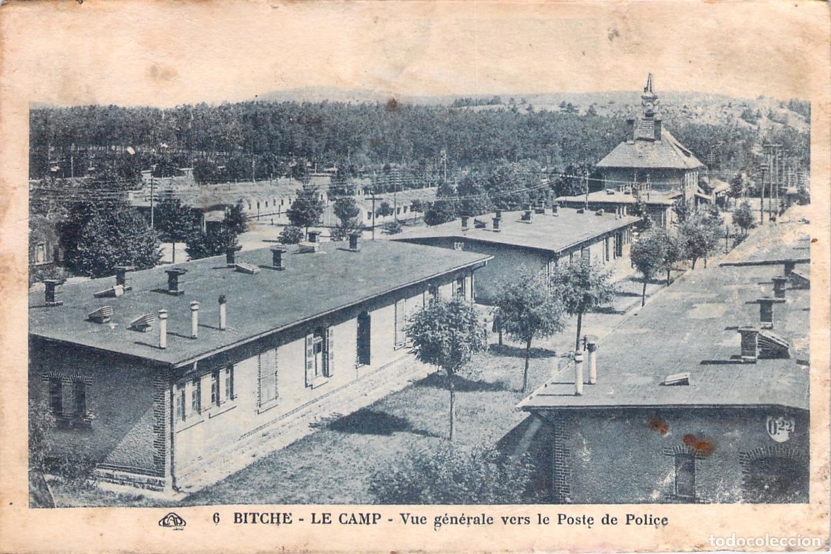 Cartes Postales: Postal de Bitche Le Camp Vista General Francia