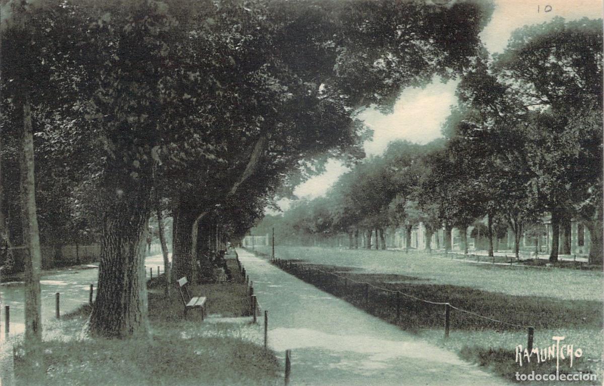 Postais: Postal de La Rochelle Francia Avenue du Mail