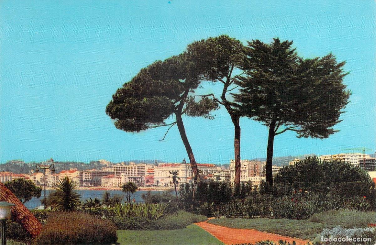 Postais: Postal de Cannes vista general desde los jardines de Palm-Beach