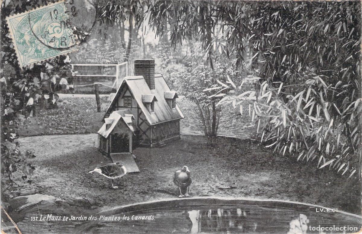 Postales: Postal de Le Mans: Jard&iacute;n de las Plantas y Patos en Francia