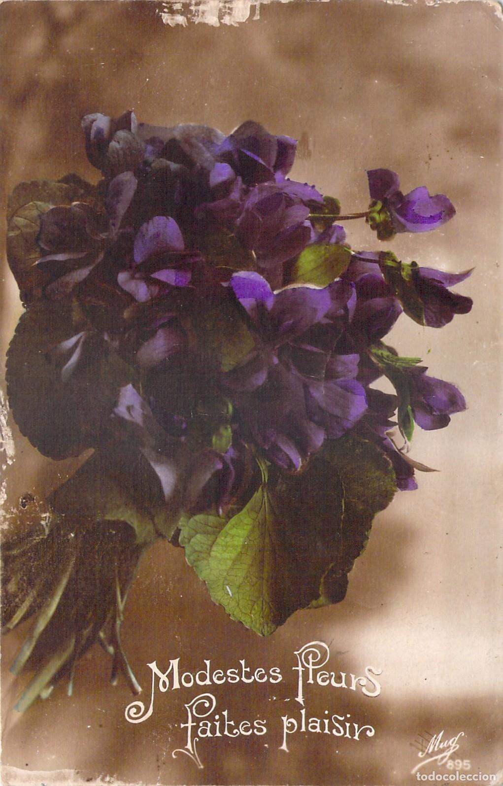 Postales: Postal con ilustraci&oacute;n de ramos de violetas