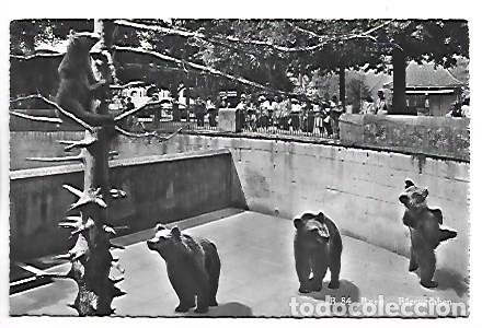 Postkarten: LA FOSSE AUX OURS BEAR - PITS.- BERN - BERNE, BARENGRABEN / SUIZA
