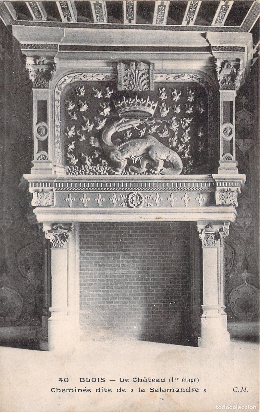 Cartoline: Postal del Castillo de Blois con Chimenea de la Salamandra