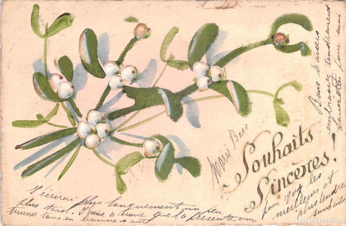 Postales: Postal con Ilustraci&oacute;n de Mu&eacute;rdago y Saludos de Navidad