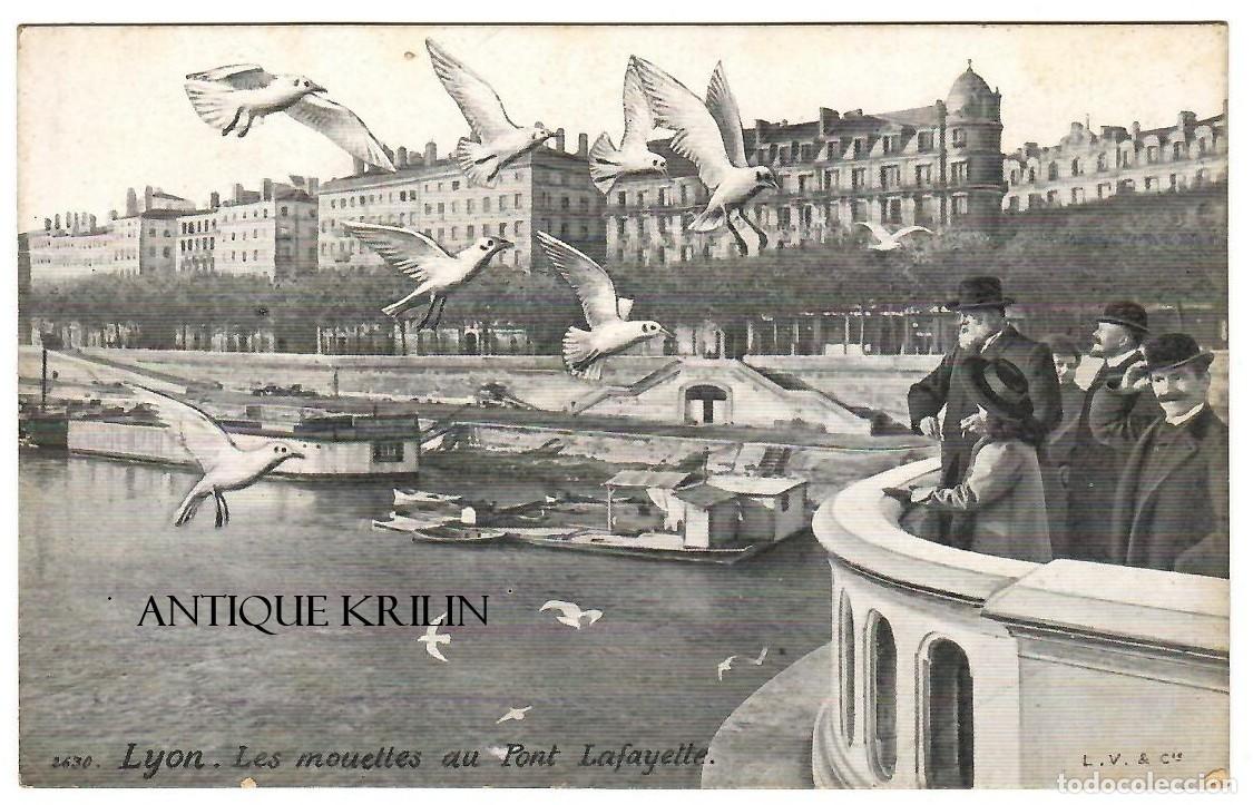 Postales: FRANCE / LYON N&ordm; 2630 LES MOUETTES AU PONT LAFAYETTE / EDITION L.V. & CIE / SIN FRANQUEAR