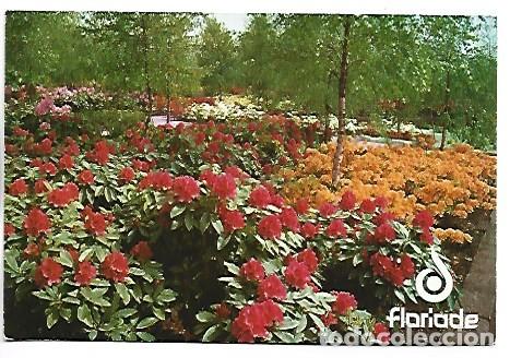 Postales: INTERNATIONAL HORTICULTURAL EXHIBITION.- &rdquo; FLORIADE &rdquo;.- AMSTERDAM / HOLLAND
