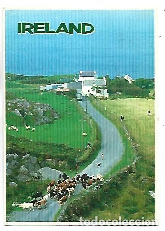 Postales: IRELAND / REINO UNIDO