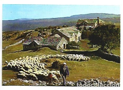 Postales: DEPART POUR LE PATURAGE.- FRANCIA