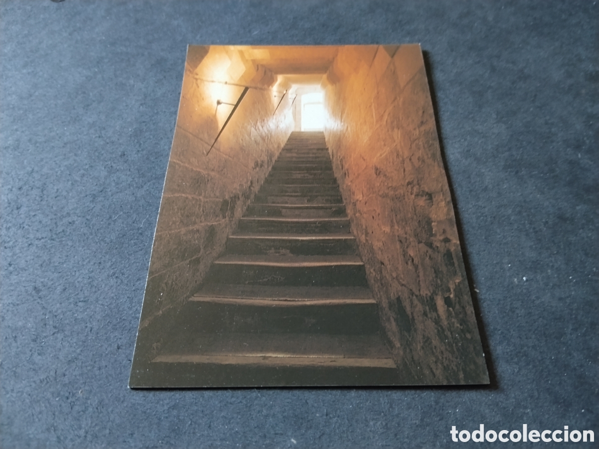 Postales: Postal avignon escalera