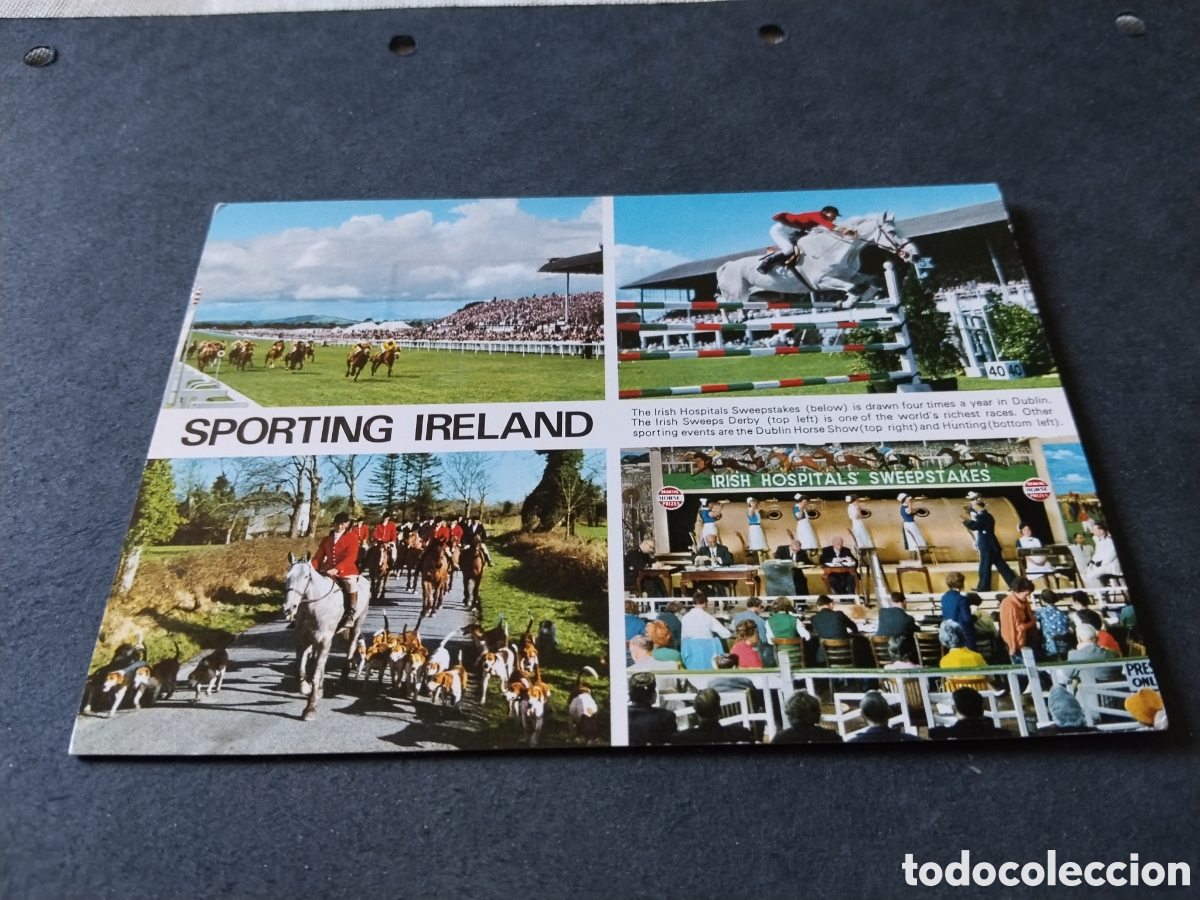 Postales: Postal Sporting Irlanda, caballos, h&iacute;pica
