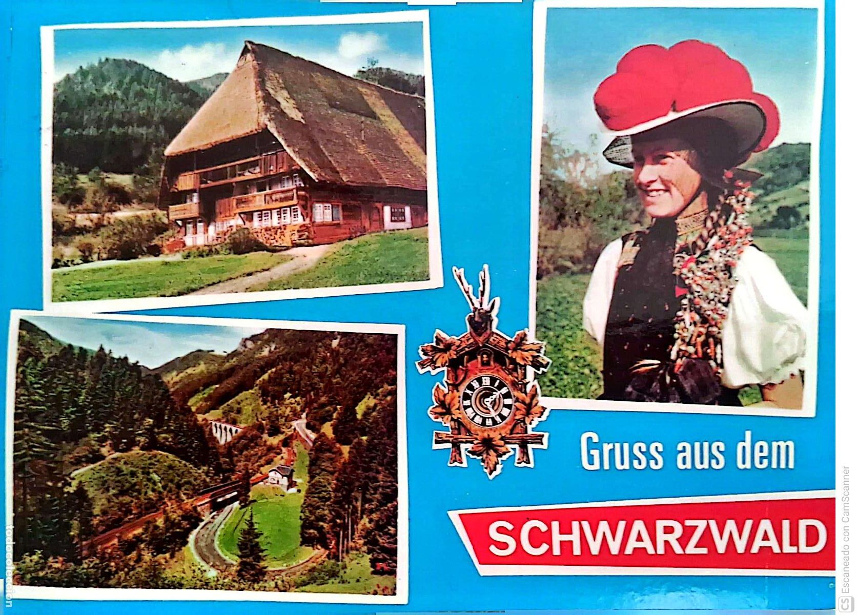 Postales: Schwarzwald (Selva Negra de Alemania). Vistas varias. Usada con sello. Color