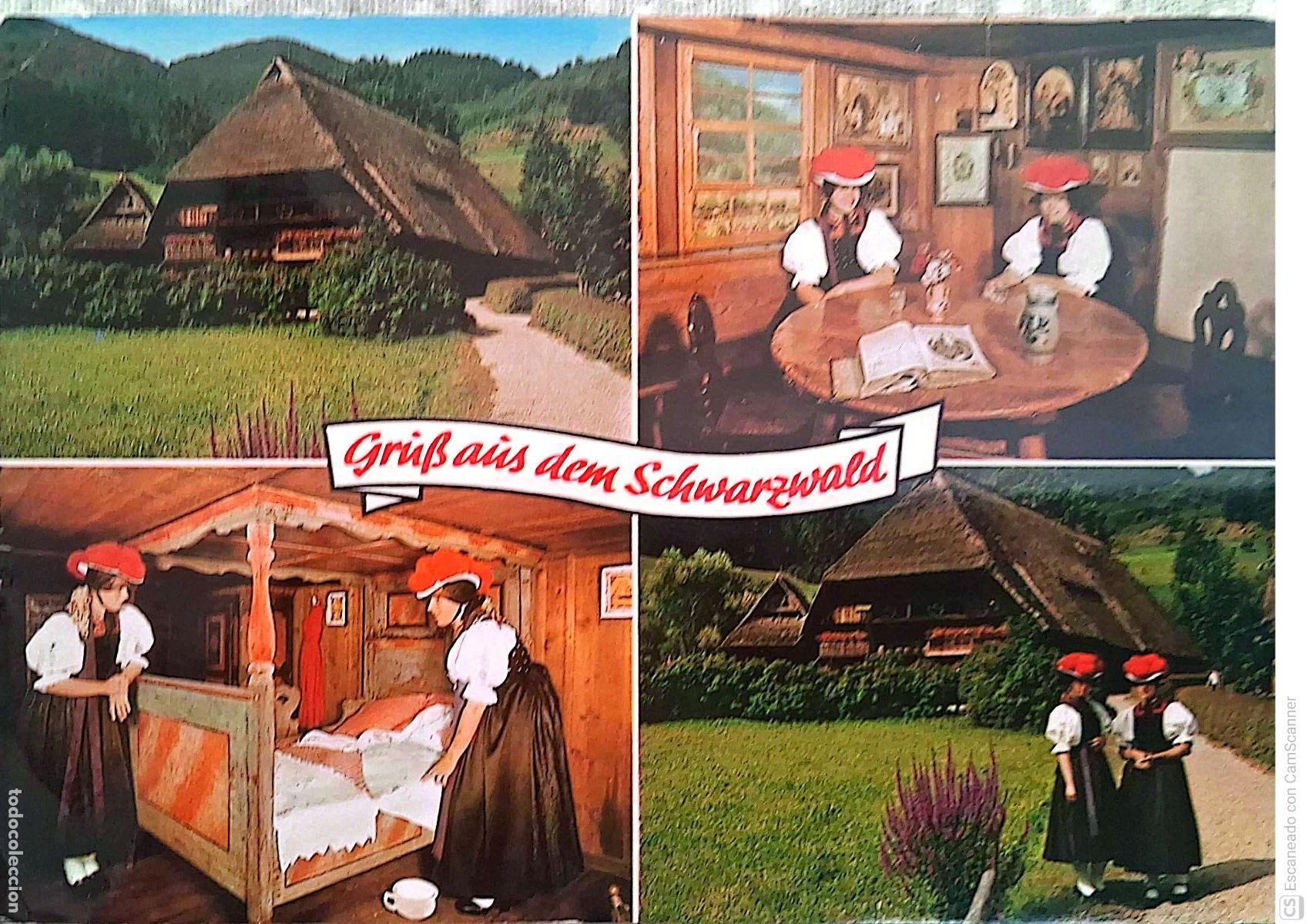 Postales: Schwarzwald (Selva Negra de Alemania). Vistas varias. Usada con sello. Color
