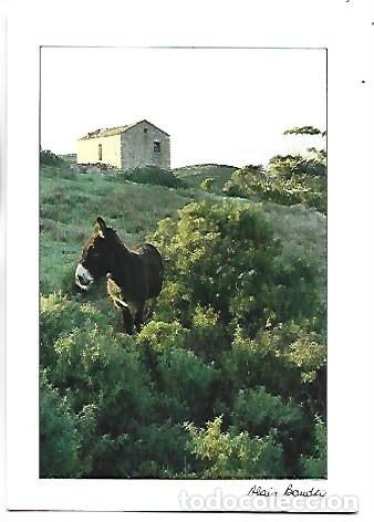 Postales: &rdquo; MEDITERRANEE &rdquo;.- ( ALAIN BAUDRY ).- FRANCIA