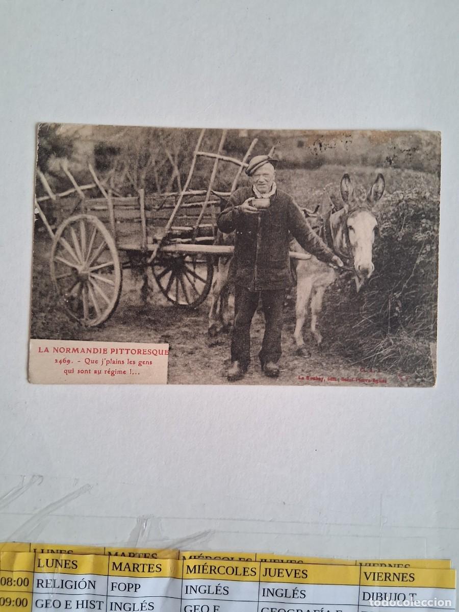 Postales: NORMANDIA, BURRO CON CARRO. FRANCIA
