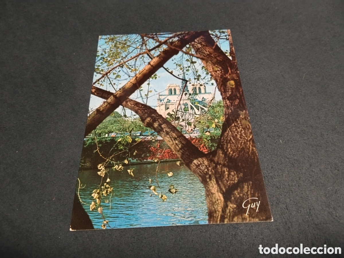 Postales: Postal Par&iacute;s notre dame