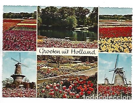 Postales: SALUDOS DESDE HOLANADA - GROETEN UIT HOLLAND