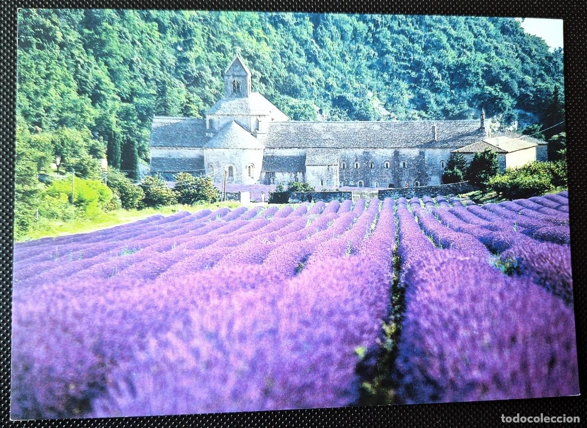 Postales: GORDES PROVENZA FRANCIA- POSTAL COLOR ANTIGUA - ABADIA DE SENANQUE Y CAMPOS DE LAVANDA - NUEVA