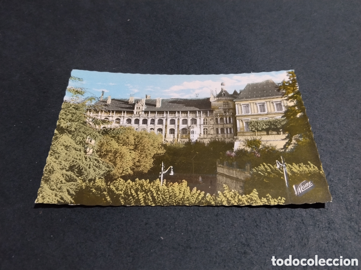 Postales: Postal Loire,blois castillo