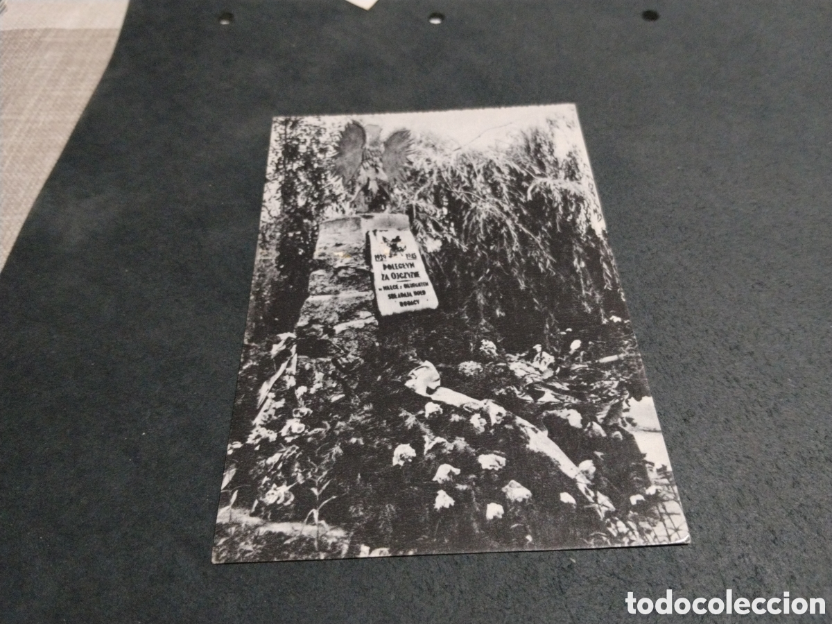 Postales: Postal cementerio municipal Proszowice soldados polacos muertos en combate