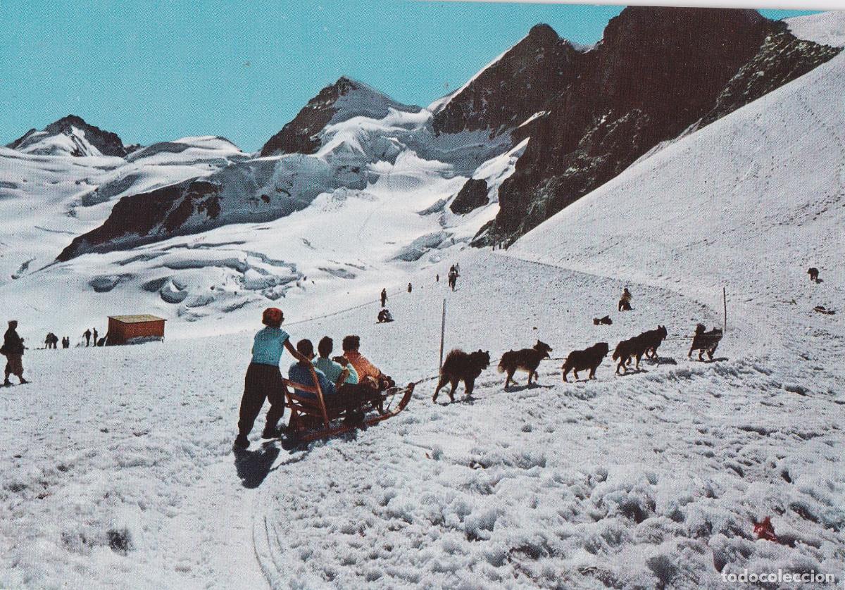 Postales: SUIZA, PERROS POLARES DEL JUNGFRAUJOCH &ndash; TRINEO &ndash; KODAK NATURAL COLOR &ndash; S/C