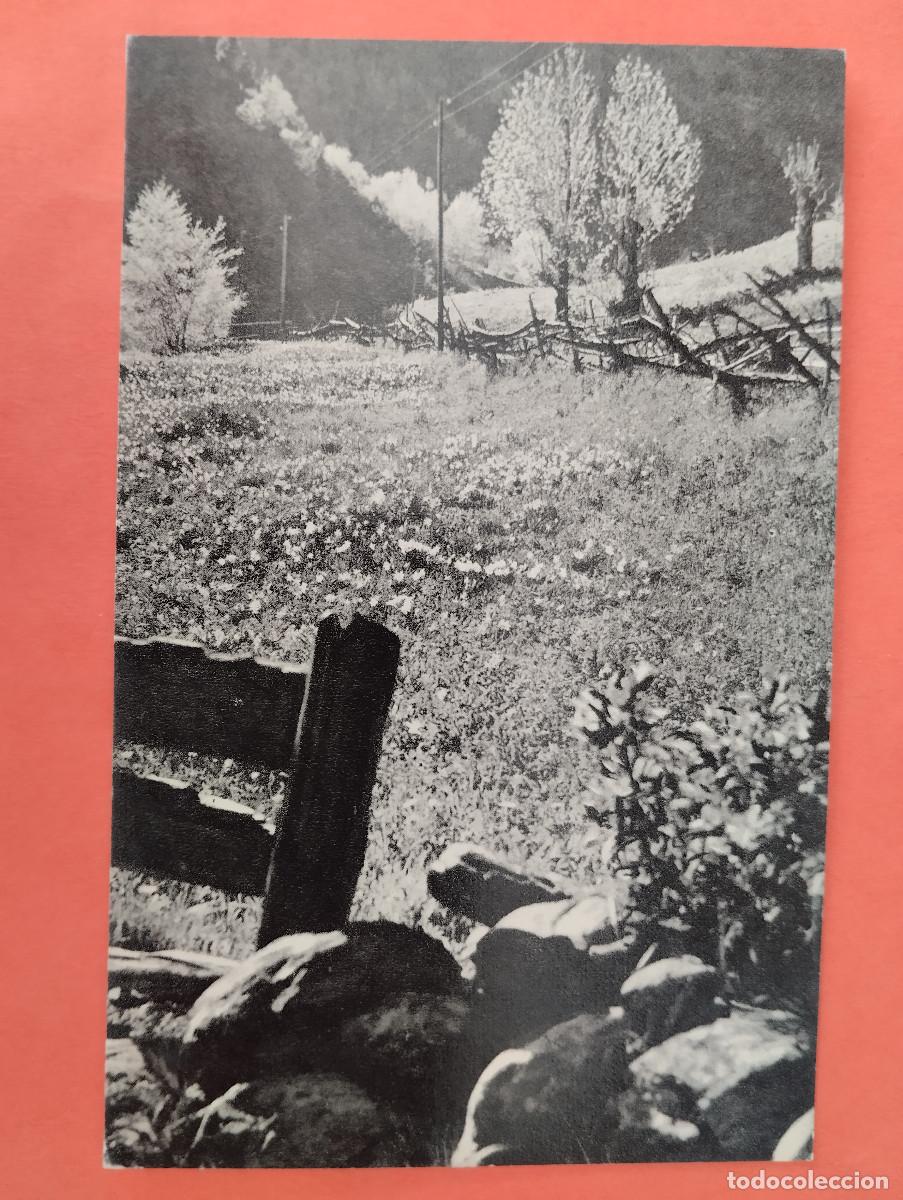 Postales: ANDORRA - PRAT FLORIT - N&ordm;34