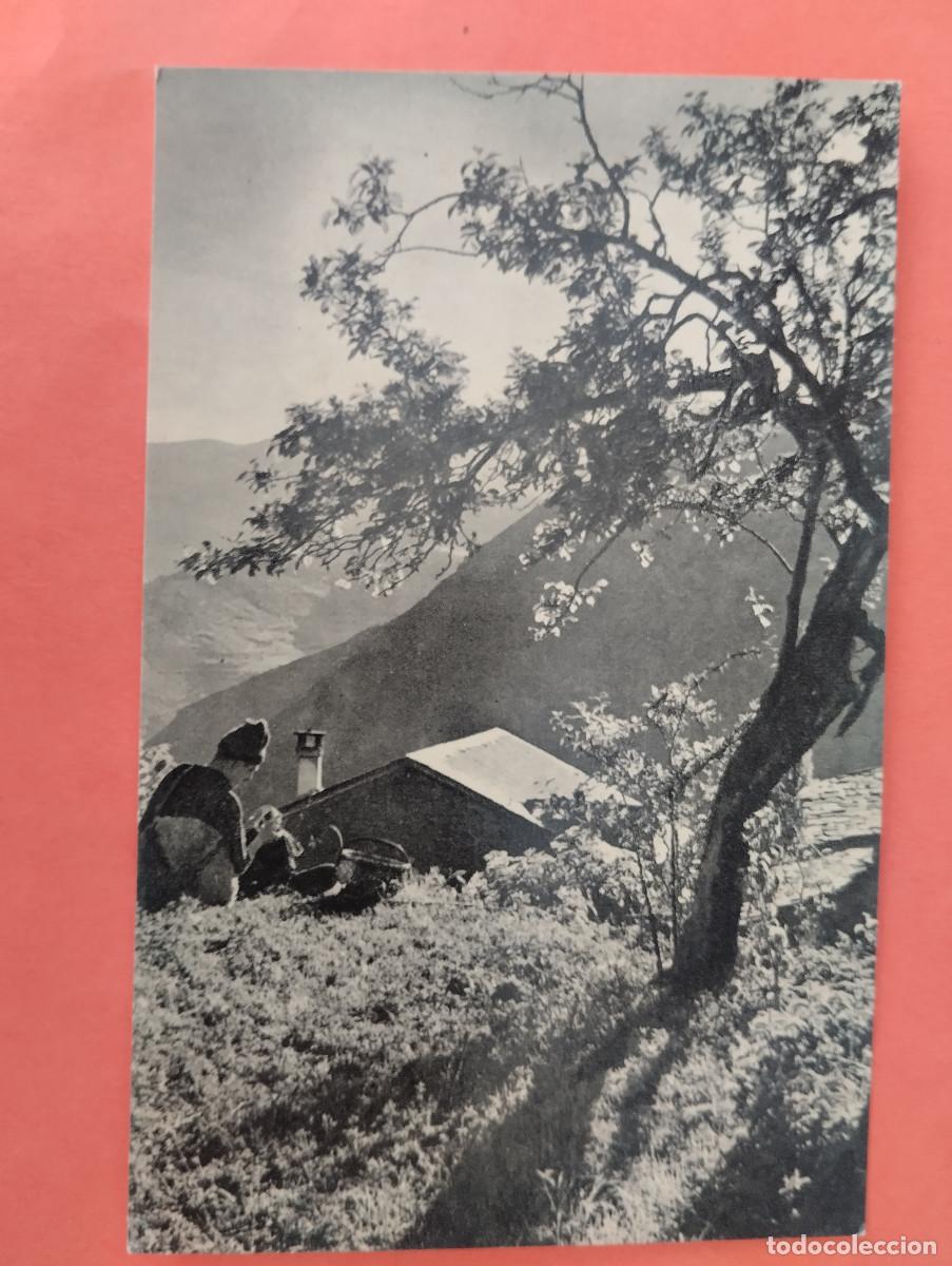 Postales: ANDORRA - LA BERENA DEL PASTOR - N&ordm;2