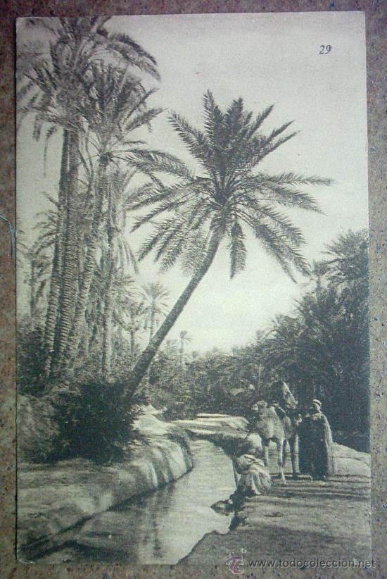 Postales: POSTAL ANTIGUA - ARABE - Foto 1