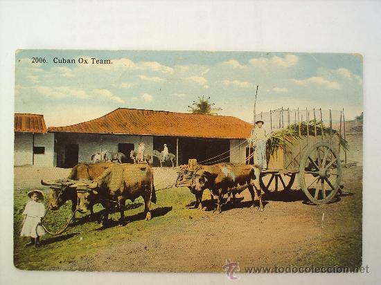 Postales: CUBA -- OX TEAM-CIRCULADA - Foto 1
