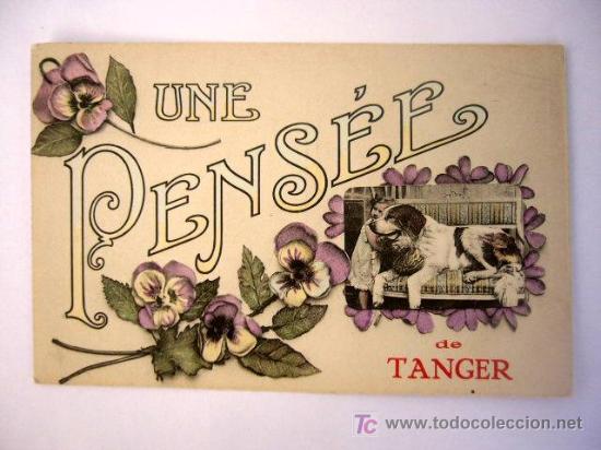 Postales: TANGER.  MOD. JODS.  N&ordm; 41. - Foto 1