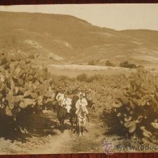 Postales: ANTIGUA FOTO POSTAL DE OFICIALES ESPAÑOLAS, CABALLERIA - GUERRA DEL RIF - FOTO WELKIN, MELILLA - NO . Lote 19227295
