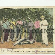Postales: (PS-21358)POSTAL DE GUINEA ESPAÑOLA-COLMILLOS DE ELEFANTES CAZADOS EN LAS POSESIONES ESPAÑOLAS DEL M. Lote 393736194