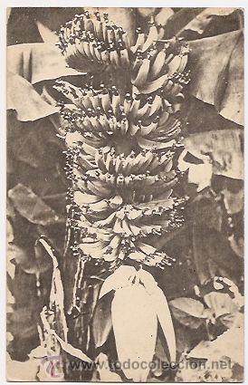 Postales: Guinea espa&ntilde;ola - Foto 1