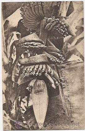 Postales: Guinea espa&ntilde;ola - Foto 1