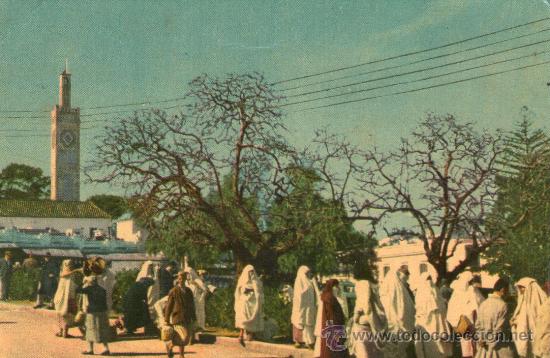 Postales: TANGER  ZOCO - Foto 1