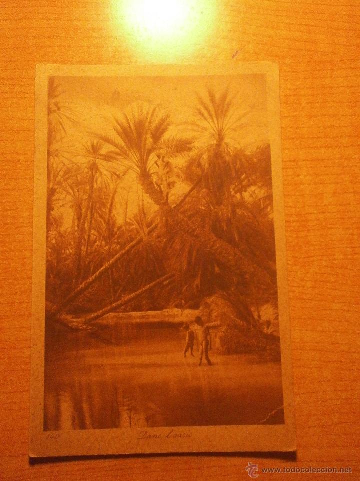 Postales: POSTAL DANS L&acute;OASIS N&ordm; 140 SIN CIRCULAR - Foto 1
