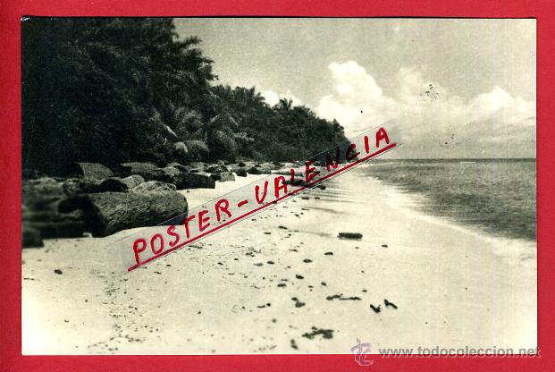 Postales: POSTAL PLAYA DE CORISCO, P97225 - Foto 1
