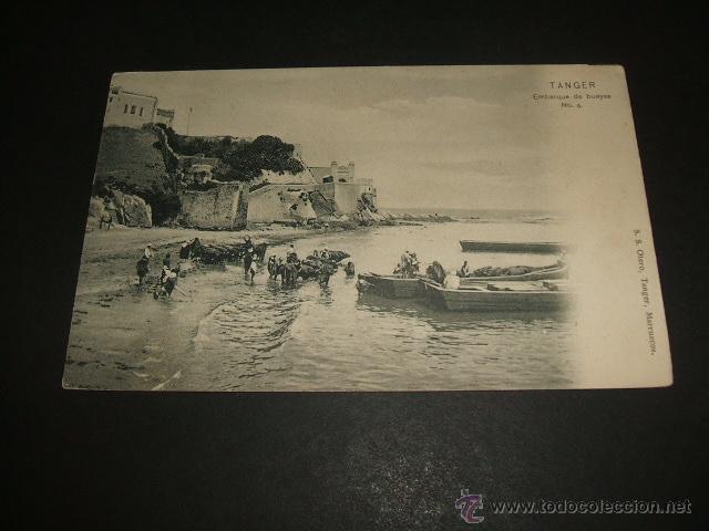 Postales: TANGER EMBARQUE DE BUEYES - Foto 1