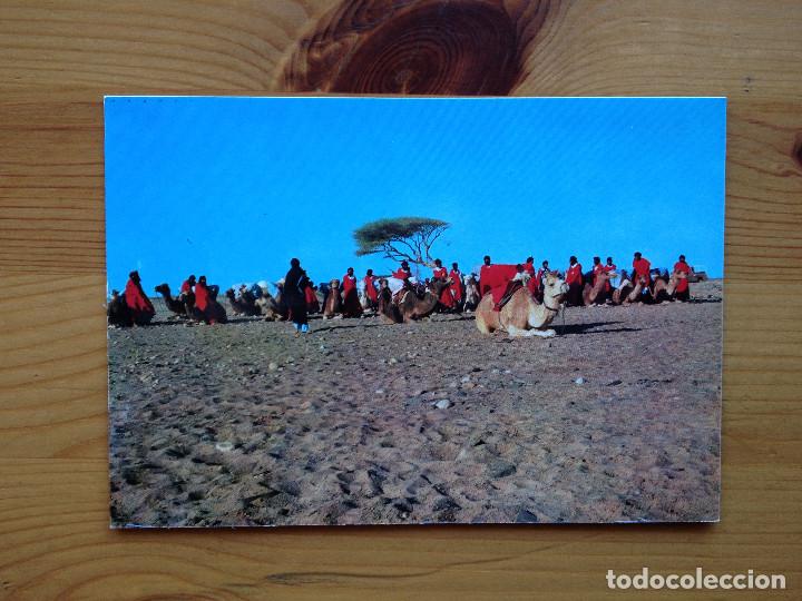 Postales: Sahara. Tropas Nomadas - Foto 1