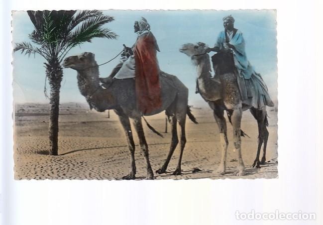 Postales: ESCENAS DEL SAHARA - Foto 1