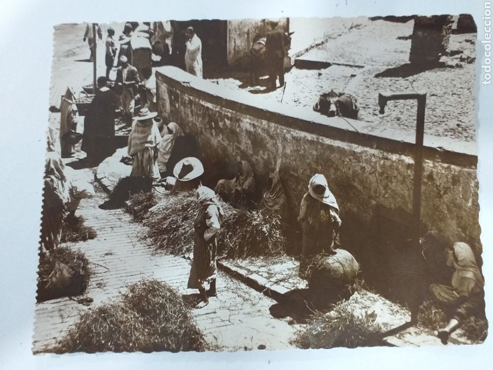 Postales: TANGER Protectorado - Mercado de Heno sin circular - Foto 1