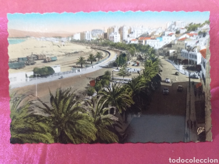 Postales: TANGER Protectorado - Avenida de Espa&ntilde;a - sin circular - Foto 1