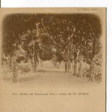 Postales: STA ISABEL DE FERNANDO PÓO-PASEO DE LOS MANGOS- 1905